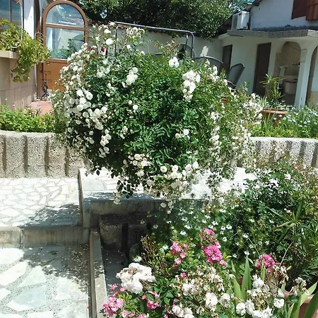 Patna Sreshta * Razgrad